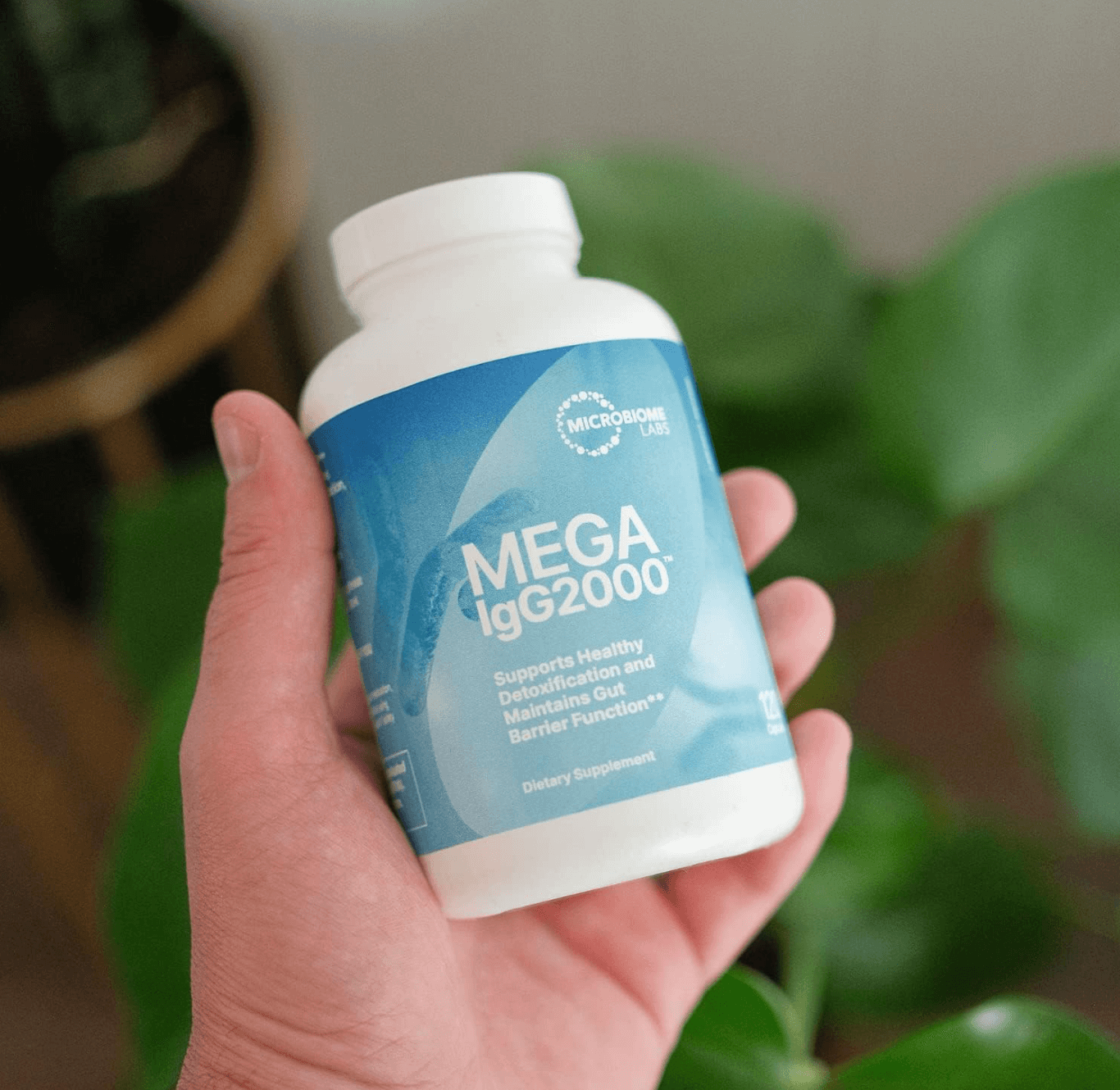 Microbiome Labs Mega IGG2000 Capsules