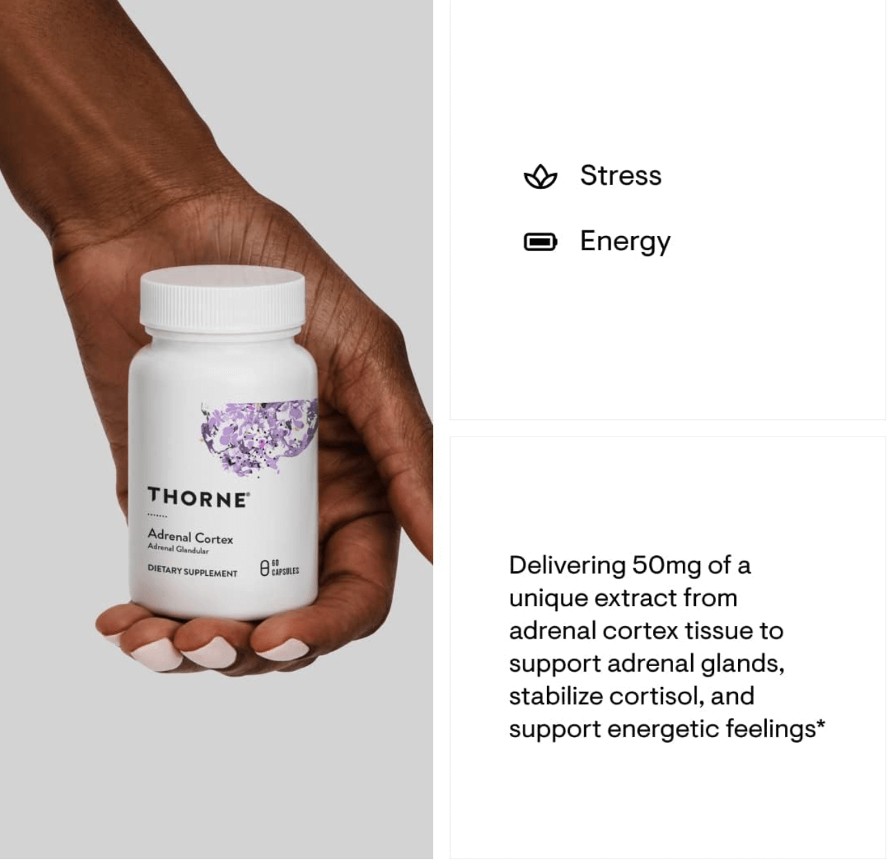 Thorne Adrenal Cortex Capsules