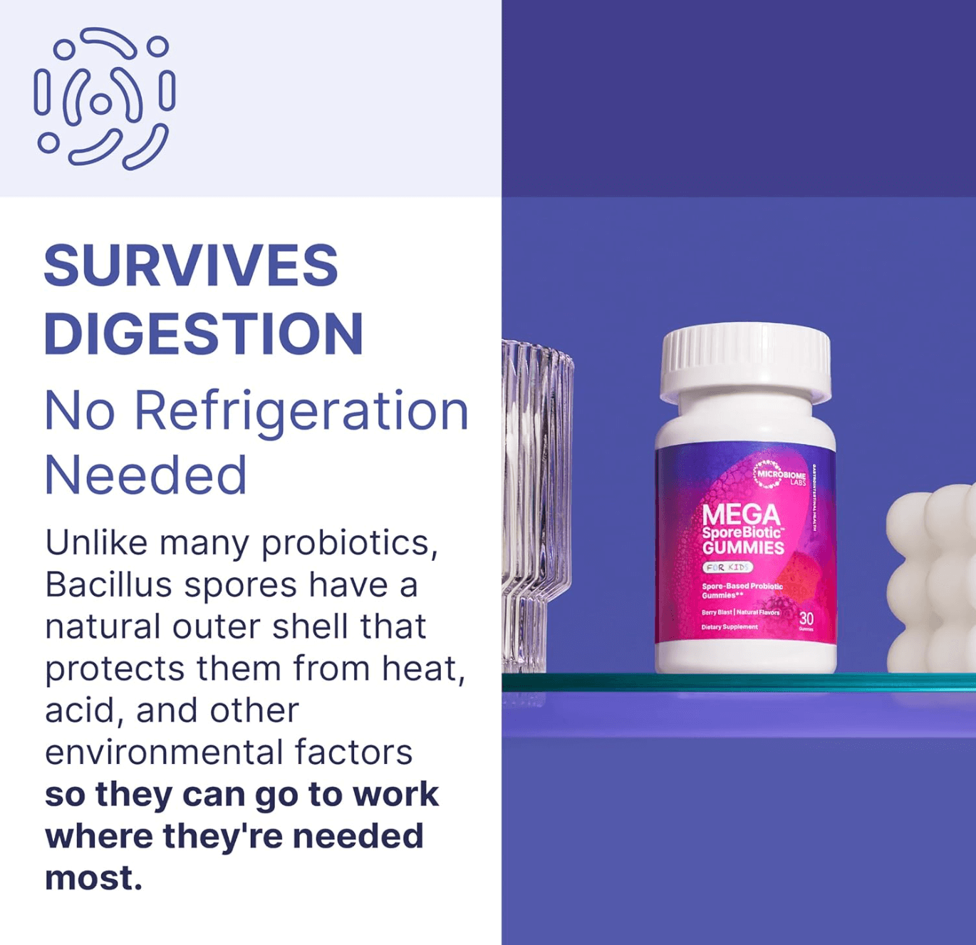 Microbiome Labs MegaSporeBiotic Kids Gummies