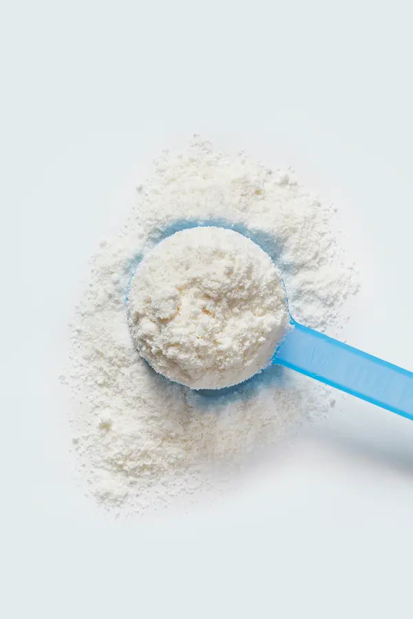 Vital Proteins Collagen Creamer 4