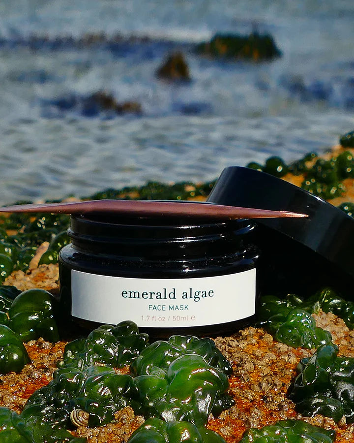 ISun Emerald Algae Face Mask 2