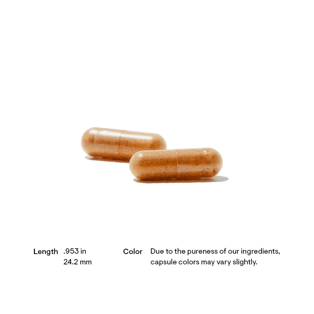 Thorne Red Yeast Rice + CoQ10 2