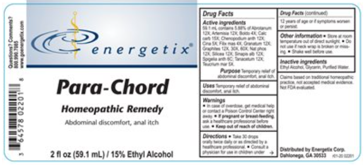 Energetix Para-Chord 2
