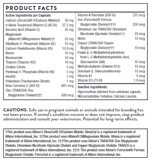 Thorne Vet Canine Basic Nutrients Soft Chews for Dogs 2