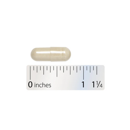 Intergrative Theraputics Similase Lipo Capsules