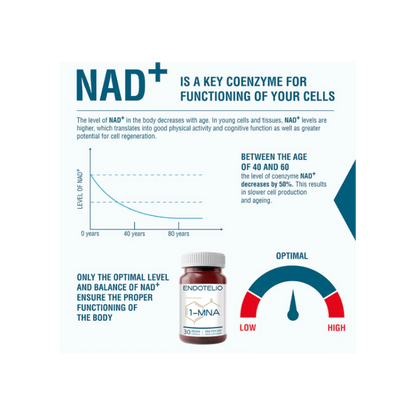 Endotelio 1-MNA Capsules