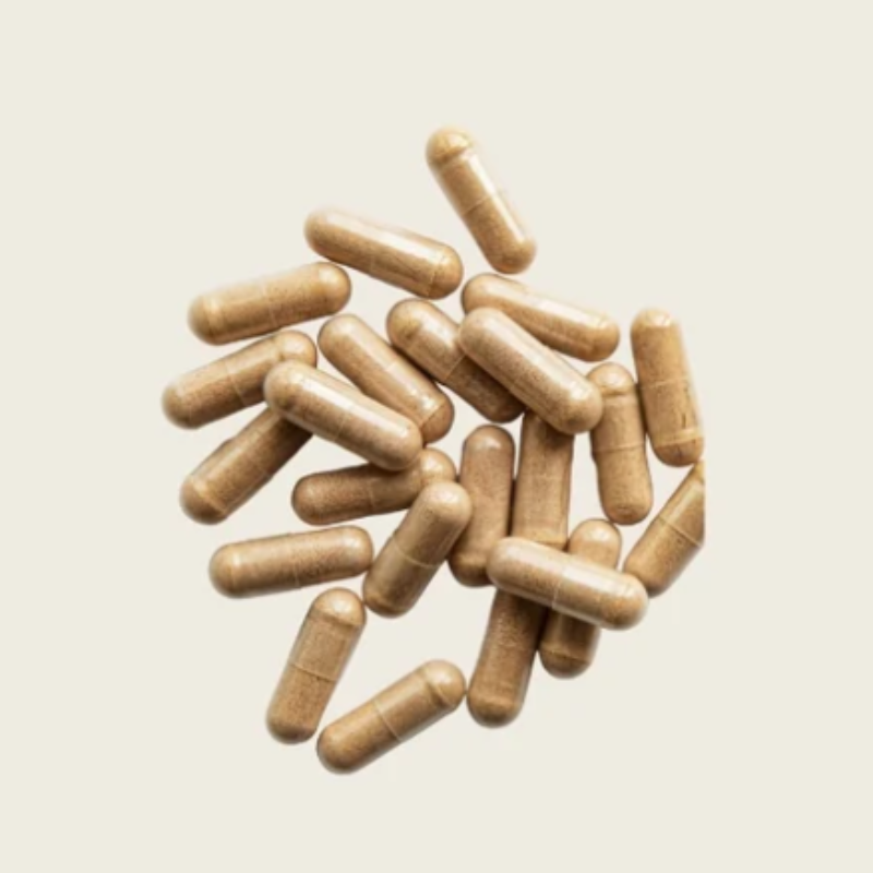 MPowder Gut Instinct Capsules