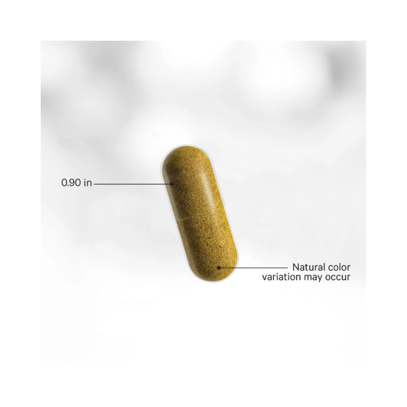 Codeage Forskolin Turmeric+ Capsules 3