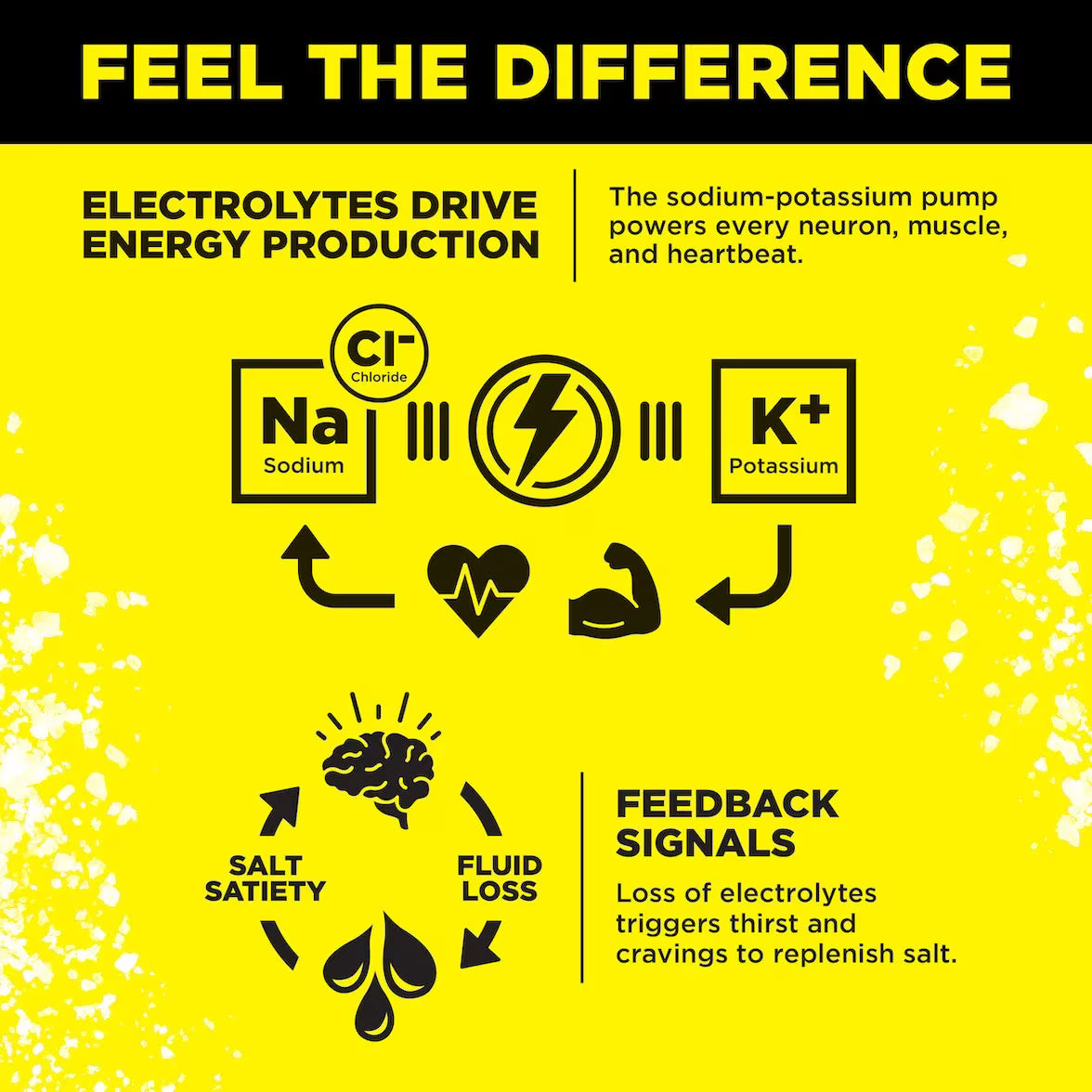 LMNT Electrolyte Mix