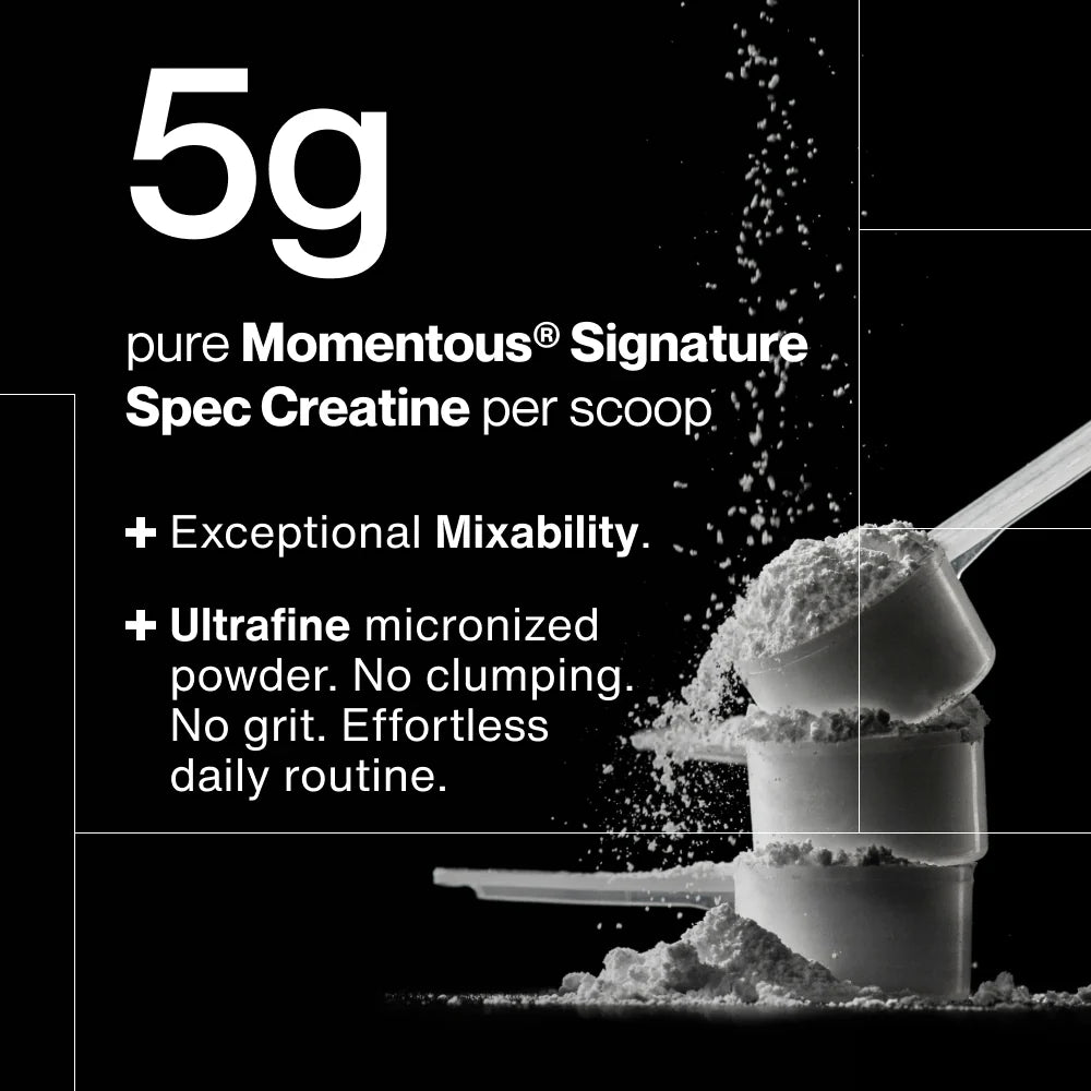 Momentous Creatine Powder