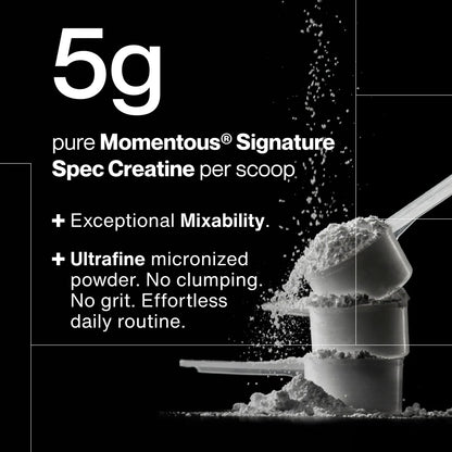 Momentous Creatine Powder