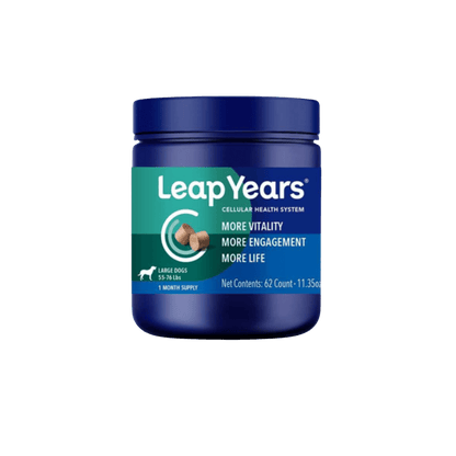 LeapYears Large Dog Chews