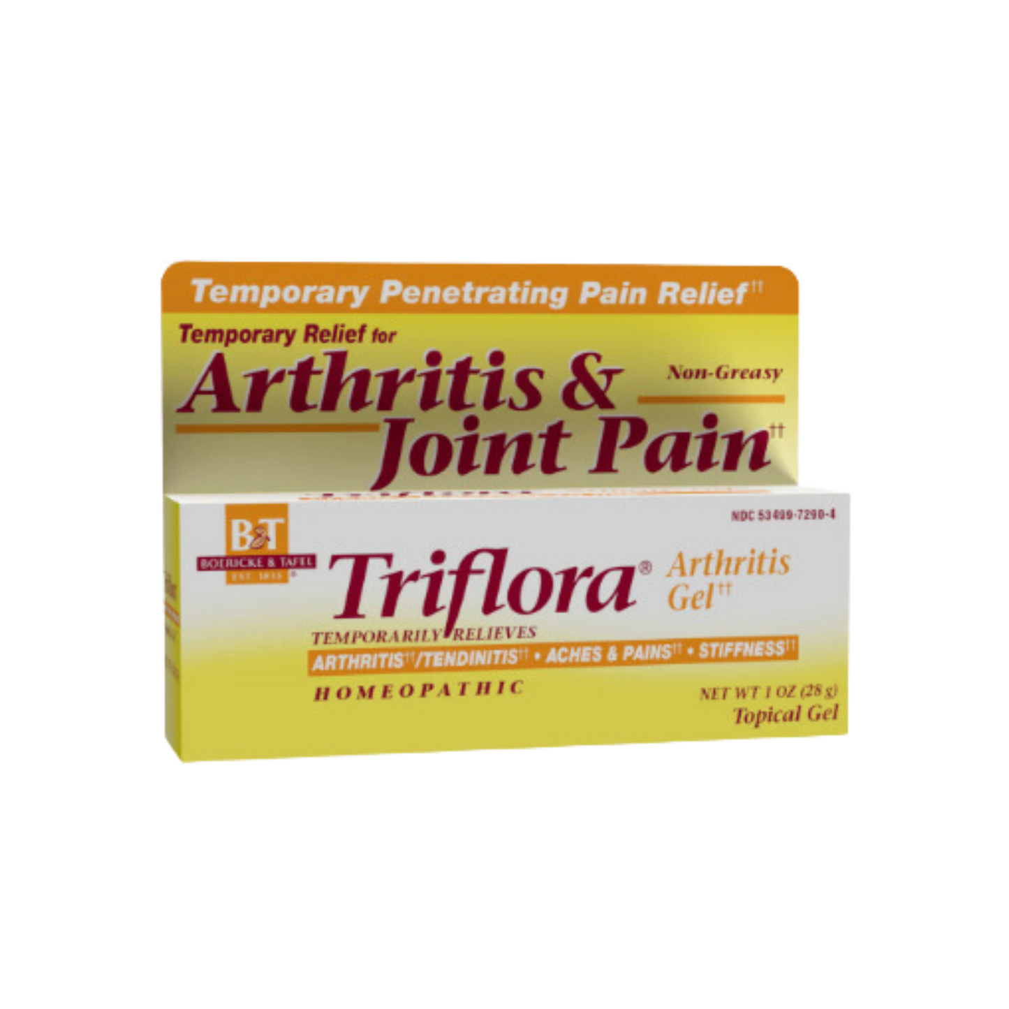 Boerickle & Tafel Triflora Arthritis And Joint Pain Gel