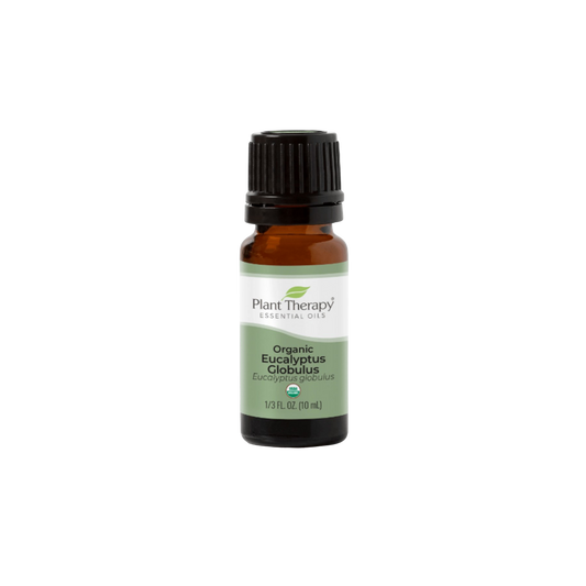 Plant Therapy Organic Eucalyptus Essential Oil 1