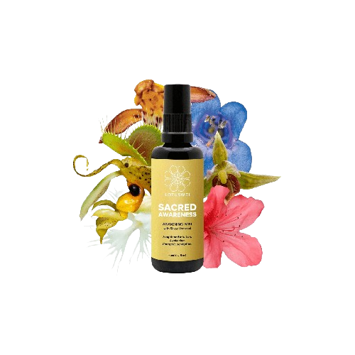 LotusWei Sacred Awareness Mist 1