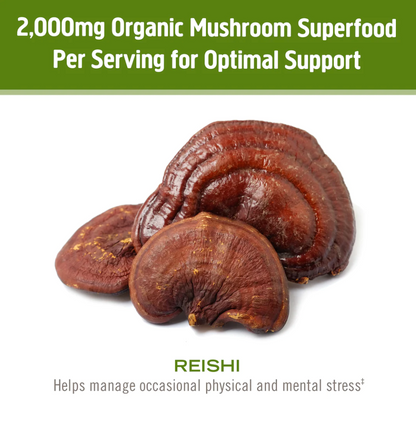 Om Mushroom Reishi Powder