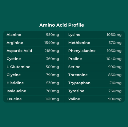 Amino acid profie Cymbiotika Plant Protein