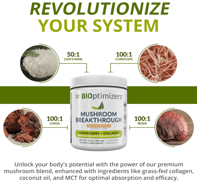 Bioptimizers Mushroom Breakthrough Powder