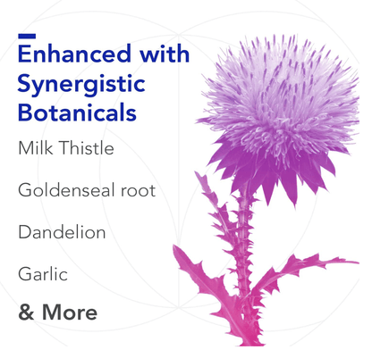 Biocidin Botanicals Olivirex Capsules