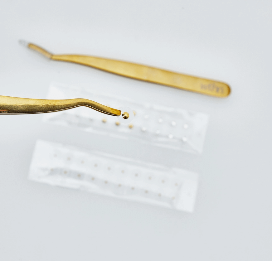 wthn Gold Ear Seed Kit