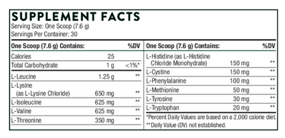 Thorne Amino Complex Powder - Berry