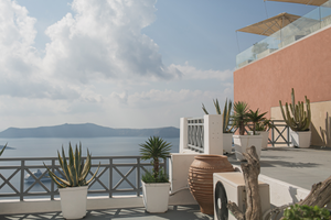 Mitozen Zen Extra Strength NS