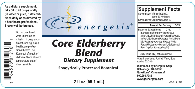 Energetix Core Elderberry Blend Liquid