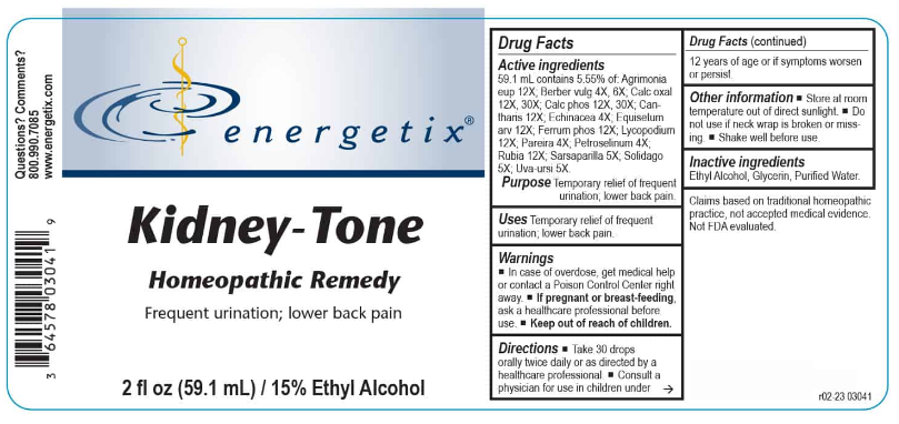 Energetix Kidney Tone Liquid