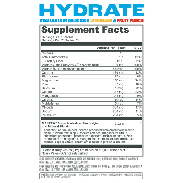 Mantra Labs Hydrate Powder - Fruit Punch