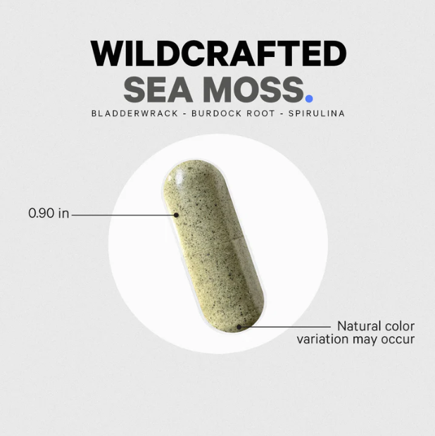 Codeage Wildcrafted Sea Moss + Capsules